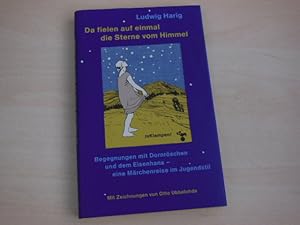 Bild des Verkufers fr Da fielen auf einmal die Sterne vom Himmel. Begegnungen mit Dornrschen und dem Eisenhans, eine Mrchenreise im Jugendstil. zum Verkauf von Antiquariat Hamecher