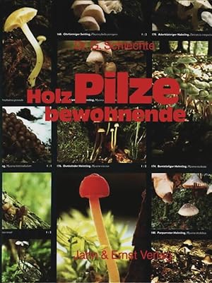 Holzbewohnende Pilze : 240 Arten in Farbe Gunter Schlechte. Farbfotos: Hans Polke