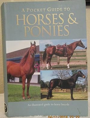 A Pocket Guide To Horses and Ponies