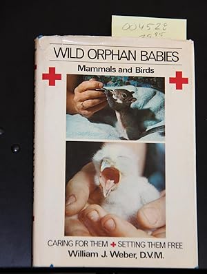 Seller image for Wild orphan babies: Mammals and birds : caring for them & setting them free for sale by Mad Hatter Bookstore