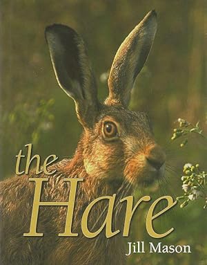 Bild des Verkufers fr The Hare. zum Verkauf von C. Arden (Bookseller) ABA