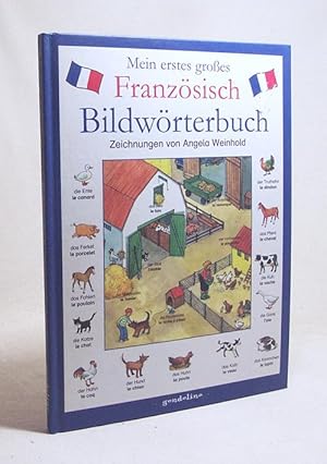 Bild des Verkufers fr Mein erstes groes Franzsisch-Bildwrterbuch / Zeichn. von Angela Weinhold zum Verkauf von Versandantiquariat Buchegger