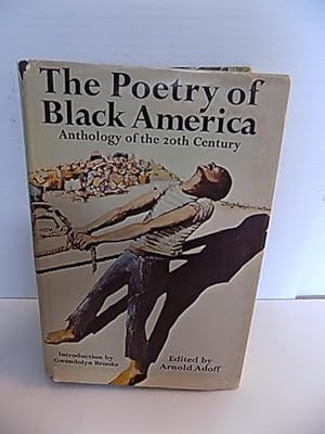 The Poetry of Black America, Anthology of the 20th Century