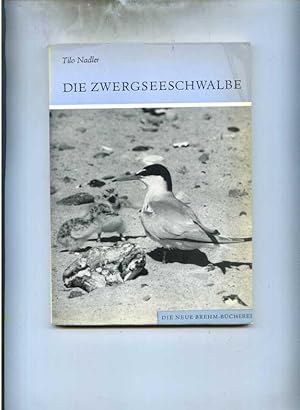 Die Zwergschwalbe. Sterna albifrons. Mit 88 Abbildungen