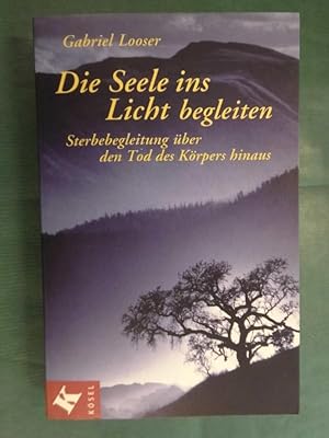 Seller image for Die Seele ins Licht begleiten - Sterbebegleitung ber den Tod des Krpers hinaus for sale by Buchantiquariat Uwe Sticht, Einzelunter.