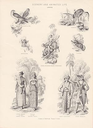 Scenery and animated life Java, Indonesien, Tracht, Kostüm, Holzstich um 1865 mit sieben Einzelab...
