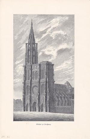 Münster zu Straßburg, Kathedrale, Holzstich um 1875, Blattgröße: 27 x 17,5 cm, reine Bildgröße: 2...