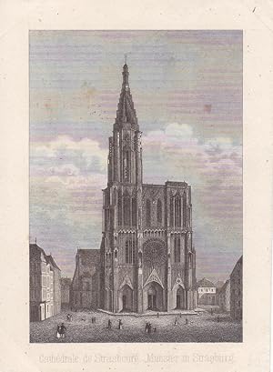 Cathedrale de Strasbourg, Münster in Strasburg, kleinformatiger Stahlstich um 1850, Blattgröße: 1...