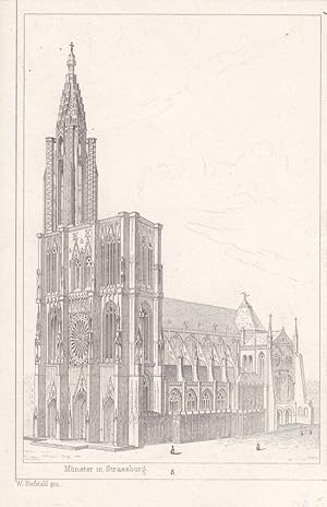 Münster in Strassburg, Umrisskupfer um 1850 nach W. Riefstahl, Blattgröße: 12,5 x 8,2 cm, reine B...