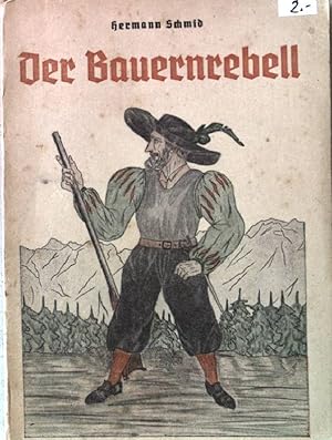 Image du vendeur pour Der Bauernrebell. Roman aus der Tirolergeschichte. mis en vente par books4less (Versandantiquariat Petra Gros GmbH & Co. KG)