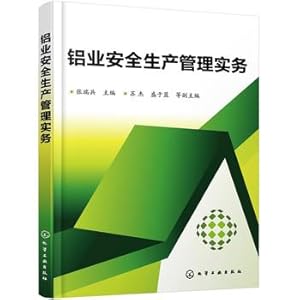 Imagen del vendedor de Aluminum production safety management practices(Chinese Edition) a la venta por liu xing