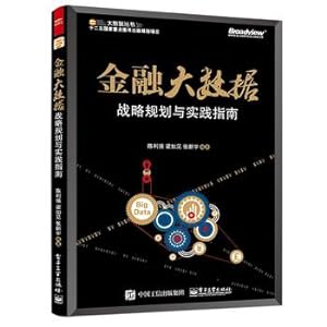 Immagine del venditore per Great Financial Data: Strategic Planning and Practice Guidelines(Chinese Edition) venduto da liu xing