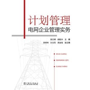 Seller image for Program Management - Enterprise Network Management Practice(Chinese Edition) for sale by liu xing