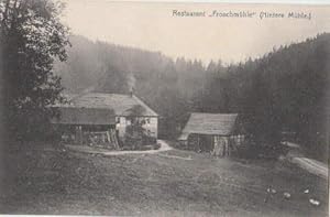 Restaurant Froschmühle" (Hintere Mühle). Ansichtskarte in Lichtdruck. Abgestempelt Eisenberg 29....
