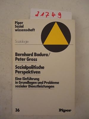 Imagen del vendedor de Sozialpolitische Perspektiven. Eine Einfhrung in Grundlagen und Probleme sozialer Dienstleistungen. a la venta por Galerie fr gegenstndliche Kunst