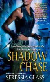 Shadow Chase: Shadowchasers Novel