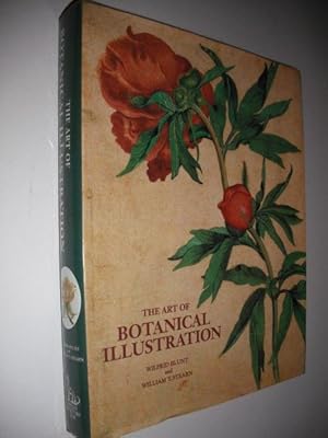 The Art of Botanical Illustration