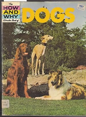 Seller image for The How and Why Wonder Book of Dogs for sale by Laura Books