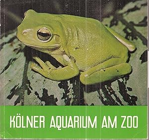 Kölner Aquarium am Zoo (Laubfrosch)