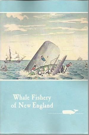 Seller image for Whale Fishery of New England: An Account, With Illustrations . for sale by Bookfeathers, LLC
