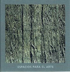 Espacios para el arte. Museos para un nuevo siglo.