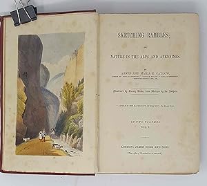 Image du vendeur pour Sketching Rambles; or, Nature in the Alps and Appennines. mis en vente par Libreria Antiquaria Pregliasco