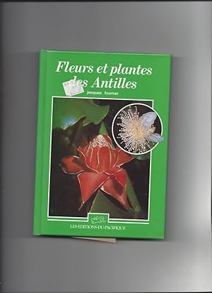 Fleurs et plantes des antilles