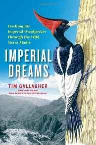 Seller image for Imperial Dreams: Tracking the Imperial Woodpecker Through the Wild Sierra Madre for sale by Monroe Street Books