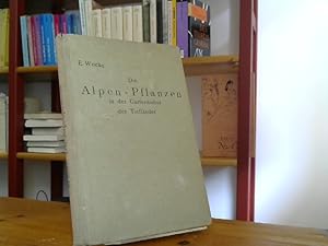 Imagen del vendedor de Die Alpen-Pflanzen in der Gartenkultur der Tieflnder. Ein Leitfaden fr Grtner und Gartenfreunde von Erich Wocke. Mit 22 Textabbildungen und 4 Tafeln. a la venta por BuchKaffee Vividus e.K.