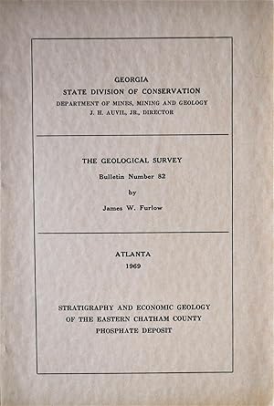 Stratigraphy and Economic Geology of the Eastern Chatham County Phosphate Deposit
