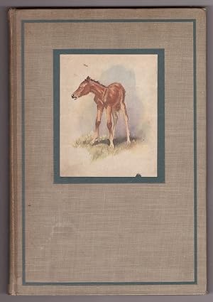 Seller image for The Red Pony for sale by Ainsworth Books ( IOBA)