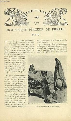 Bild des Verk�ufers f�r LE MONDE MODERNE TOME 21 - UN MOLLUSQUE PERCEUR DE PIERRES + LA CHAPELLE D'URONIA zum Verkauf von Le-Livre