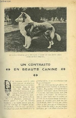 Seller image for LE MONDE MODERNE TOME 22 - UN CONTRASTE EN BEAUTE CANINE for sale by Le-Livre