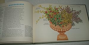 The Window Box: Pot, Tub and Basket Book