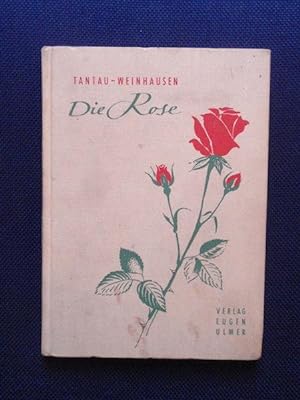 Bild des Verkufers fr Die Rose ihre Kultur und Verwendung. zum Verkauf von Antiquariat Klabund Wien