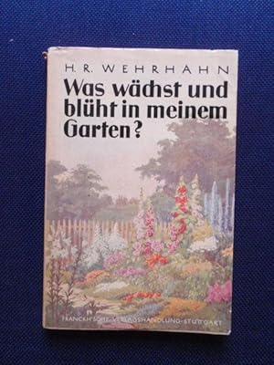 Seller image for Was wchst und blht in meinem Garten? Bltenstauden und Sommerblumen. Tabellen zum Bestimmen von ber 500 wichtigen Gartenpflanzen mit Kultur- und Verwendungsangaben. for sale by Antiquariat Klabund Wien