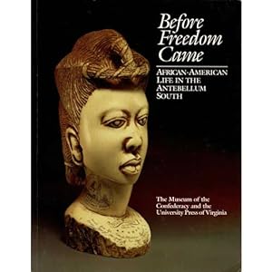 Seller image for Before Freedom Came: African-American Life in the Antebellum South for sale by Buteo Books