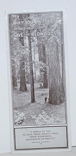 Why you should help save the Redwoods