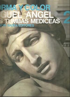 FORMA Y COLOR 2: MIGUEL ANGEL. LAS TUMBAS MEDICEAS