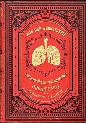 Aus der Werkstätte des menschlichen und thierischen Organismus. Eine populäre Physiologie für geb...