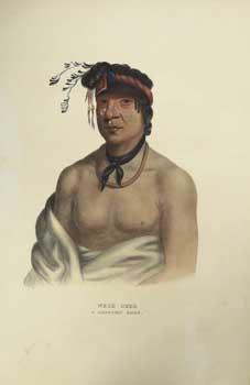 WESH-CUBB / A CHIPPEWAY CHIEF. / / from History of the Indian Tribes of North America. (First edi...