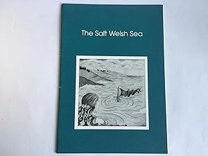 Seller image for The Salt Welsh Sea for sale by Great Oak Bookshop