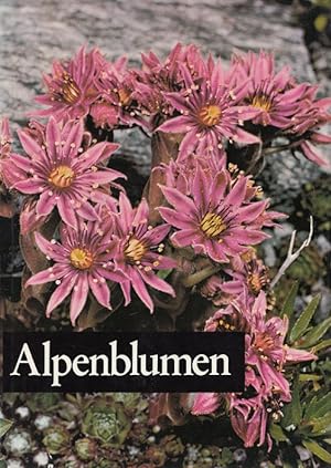 Seller image for Alpenblumen. for sale by Versandantiquariat Nussbaum