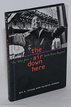 The air down here; true tales from a South Bronx boyhood