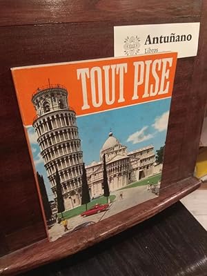 Imagen del vendedor de Tout Pise a la venta por Libros Antuano