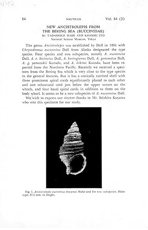 Seller image for New Ancistrolepis from the Bering Sea (Buccinidae). In 8v0, offp., pp. 3 with 1 fig. Offprint from The Nautilus, 84(3) for sale by NATURAMA