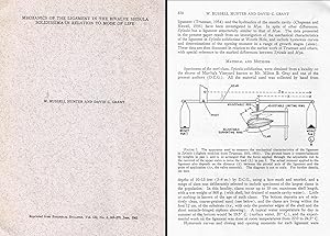 Seller image for Mechanics of the ligament in the bivalve Spisula solidissima in relation to mode of life. In 8, offp., pp. 11 con 3 figs. for sale by NATURAMA