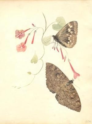 Farfalle in marrone su carta bianca con fiori in rosa.