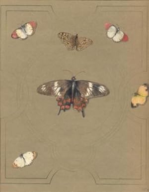 Farfalle in colore su carta marrone.