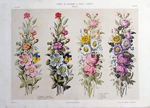 Dianto o Garofano, Viola del pensiero tricolore, Rosa Canina, Rosa Bengala, Anemone, Asteroide, C...